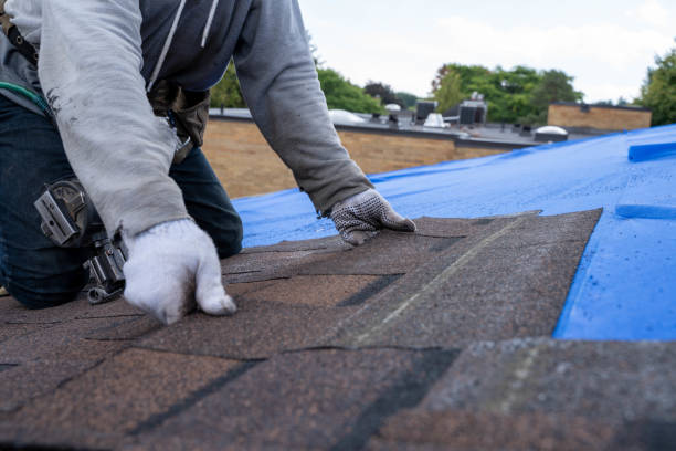 Best Shingle Roofing Installation  in Mertzon, TX