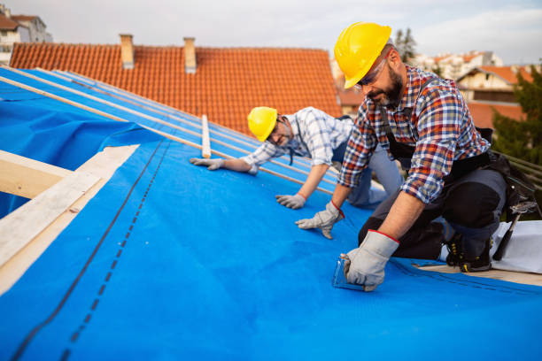 Best Roof Waterproofing Services  in Mertzon, TX