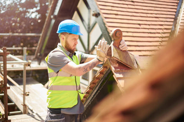 Best Roof Leak Repair  in Mertzon, TX