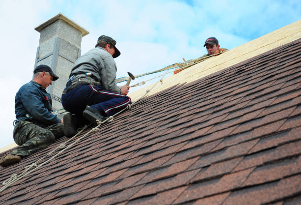 Best Sealant for Roof  in Mertzon, TX